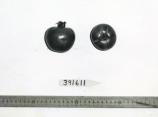 Click for 1 image(s) for this accession. FRUIT